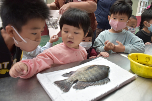魚拓體驗課程