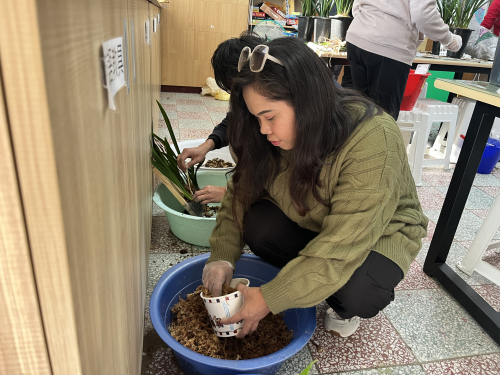 教師增能