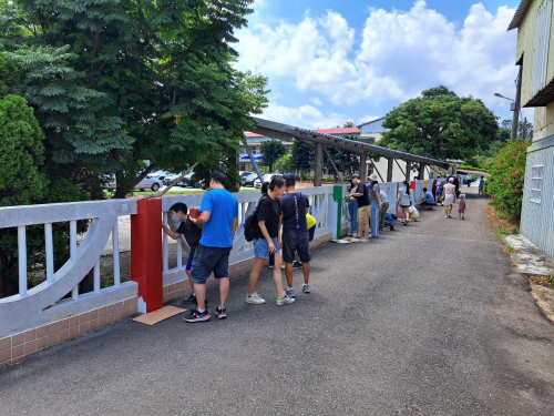 校園美化-圍牆