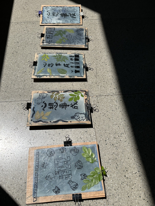 玩校園植物
