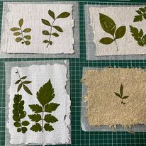 玩校園植物