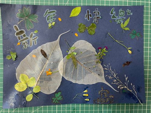 玩校園植物