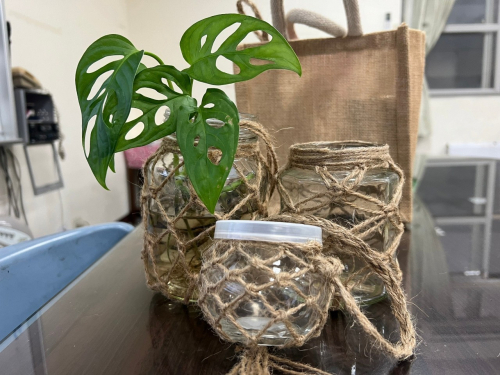 老師的編織與纏繞