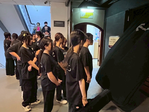 光影偶戲